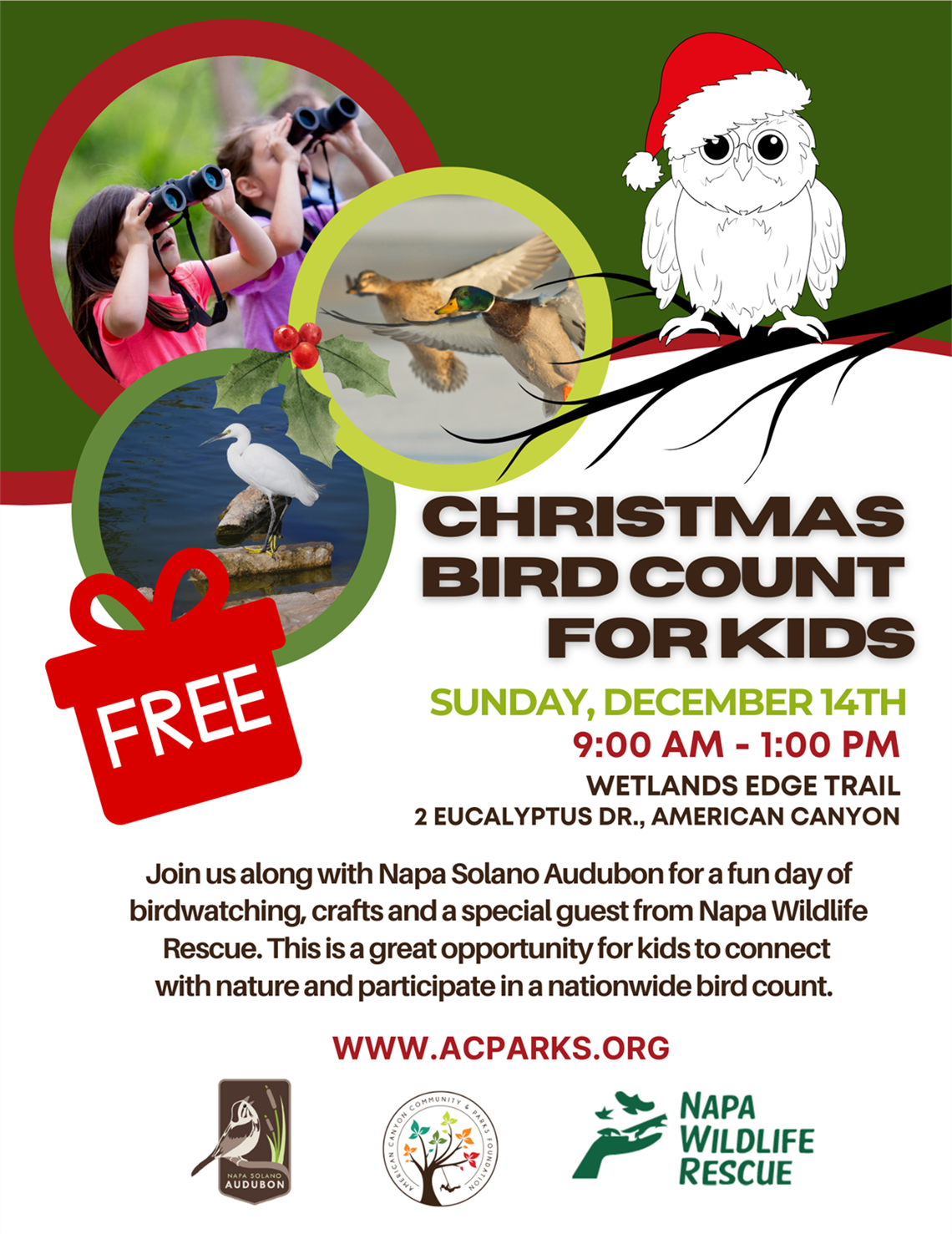 Christmas Bird Count 4 kids 2025 (1).png