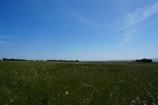 DSC02592.JPG