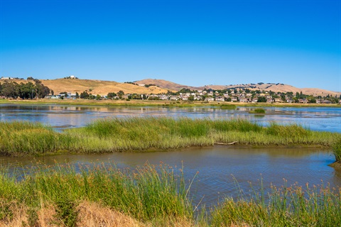 Newell Open Space Preserve