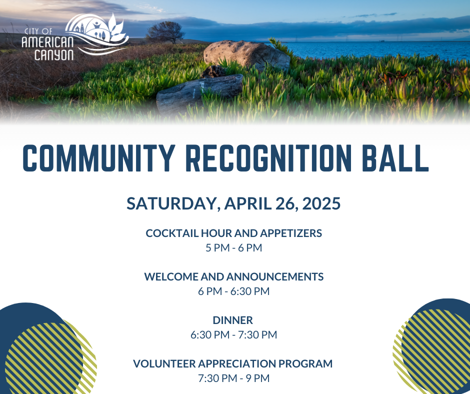 2025 Community Recognition Ball Program