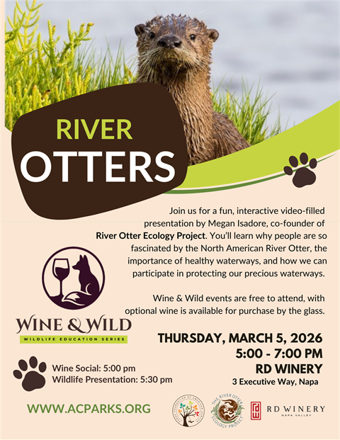 2026 Wine  Wild Flyer (1).png