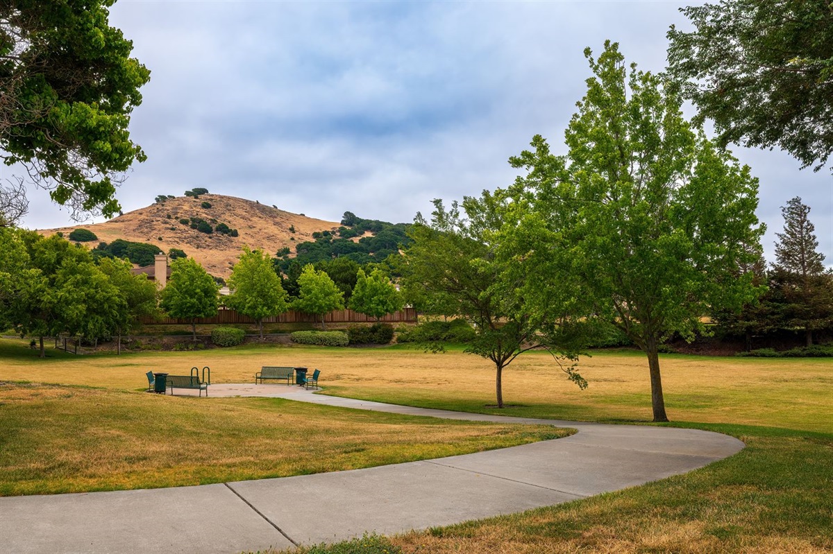 Montecarlo Park American Canyon CA