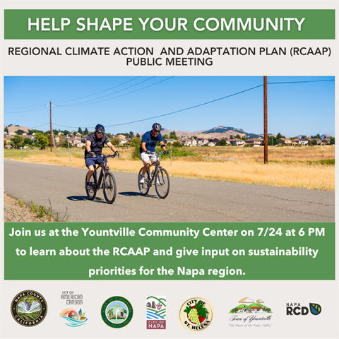 RCAAP CM 1 ENG (1).png